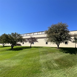 Toro Plant