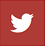 twitter Logo